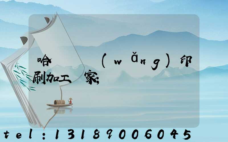 哈爾濱絲網(wǎng)印刷加工廠家