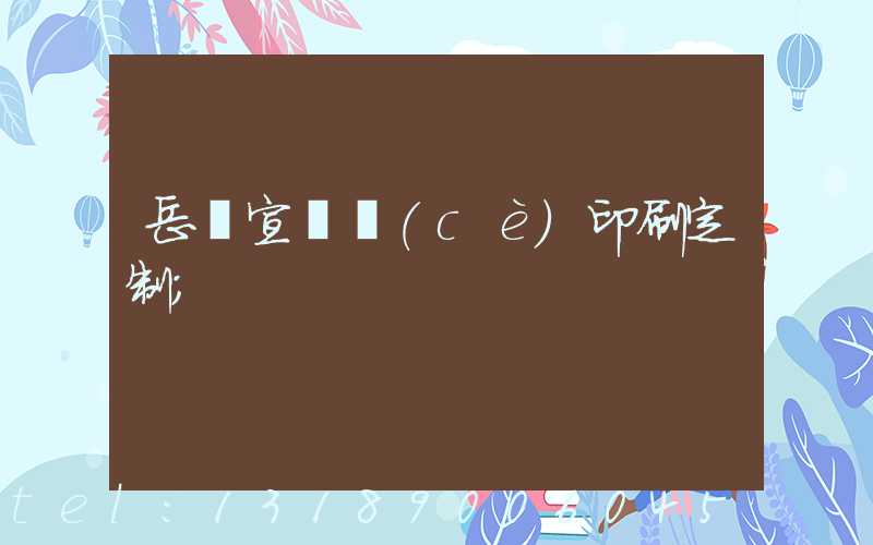 岳陽宣傳冊(cè)印刷定制