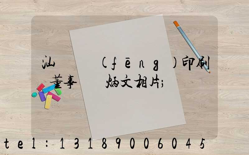 汕頭東風(fēng)印刷廠董事長黃炳文相片