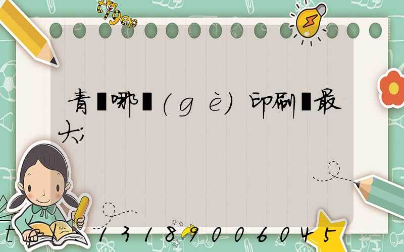 青島哪個(gè)印刷廠最大